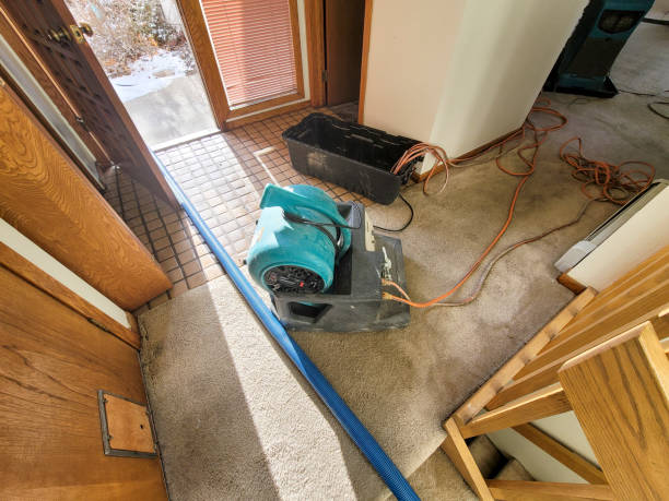 Best 24/7 water damage repair  in Monument Hills, CA