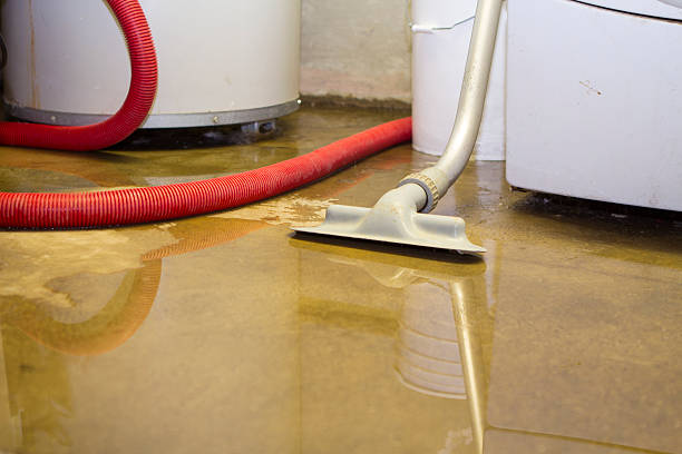 Best Basement water damage restoration  in Monument Hills, CA