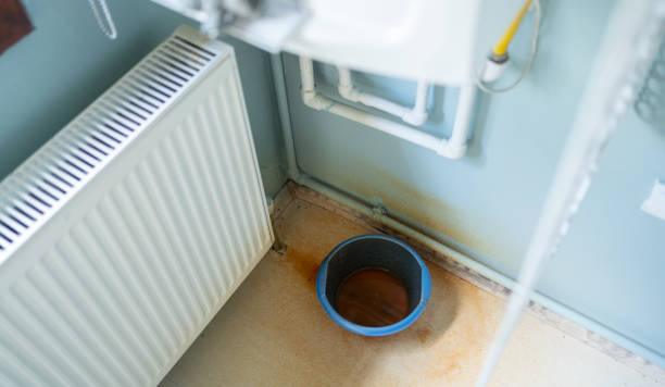 Best Ceiling water damage repair  in Monument Hills, CA